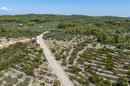 Insel Korcula, Vela Luka, landwirtschaftliches Grundstück mit Meerblick - 5