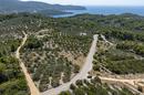 Insel Korcula, Vela Luka, landwirtschaftliches Grundstück mit Meerblick - 2