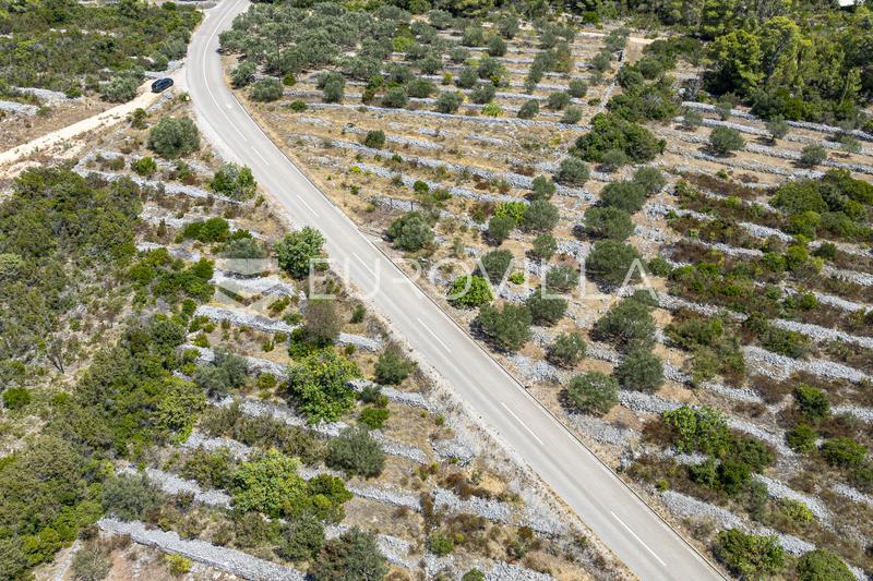 Insel Korcula, Vela Luka, landwirtschaftliches Grundstück mit Meerblick - 3