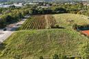 Istria, Porec - Attraktiv tomt på 12.097 m² med utmerket investeringspotensial - 7