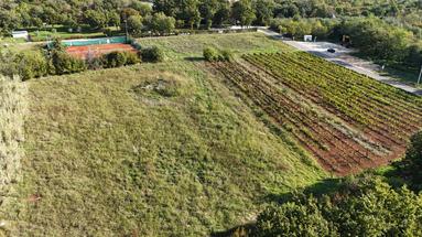 İstriya, Poreč - Mükemmel yatırım potansiyeline sahip 12.097 m²'lik çekici arsa