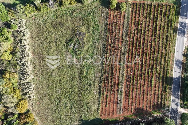 Istria, Porec - Attraktiv tomt på 12.097 m² med utmerket investeringspotensial - 4