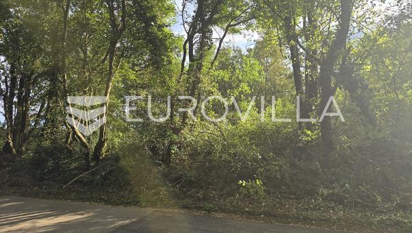 Ístria, Krnica, terreno agrícola com 3.854 m²