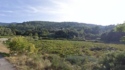 Hvar, Dol, zemědělská půda, 3.505 m²