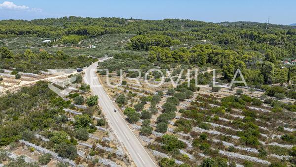 Otok Korčula, Vela Luka, kmetijsko zemljišče s panoramskim pogledom