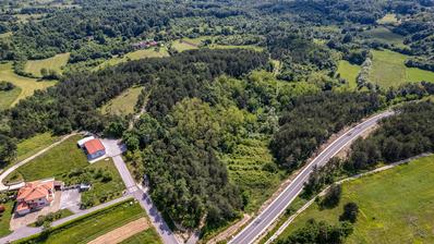 Istra, Grašćišće, jedinstveno građevinsko zemljište 2000 m² okruženo stoljetnom šumom 36789 m²