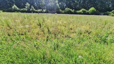 Karlovac, Ilovac, maatalousmaa 3050 m², päätien varrella, lähellä moottoritietä