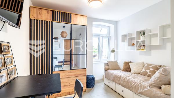 Zagreb, Savska, kod Vjesnika, studio, 15 m²