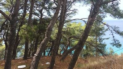 Sumpetar, Jesenice, byggnadstomt 10 meter från havet.