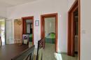 Vir - Dom z 3 Apartamentami, Widokiem na Morze i Śródziemnomorskim Ogrodem, zaledwie 60 m od Morza - 37