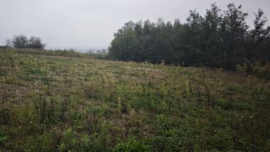 Karlovac, Jelasi, rakennusmaa 1000 m², rauhallisella paikalla