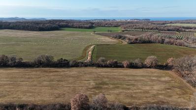 Istrien, Poreč - landbrugsjord på 14.824 m²