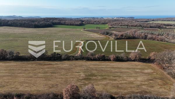 Ístria, Poreč, terreno agrícola com 14.824 m²