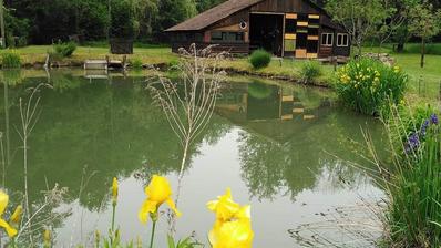 Pakrac, Kricke, magisk camping- og piknikområde Da-Bar 7942 m²