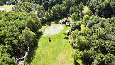 Pakrac, Kričke, magical camping and picnic area Da-Bar 7942 m²
