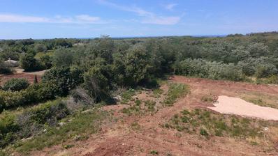 Istra, Brtonigla, Građevinsko zemljište 620 m², idealno za luksuznu vilu s bazenom