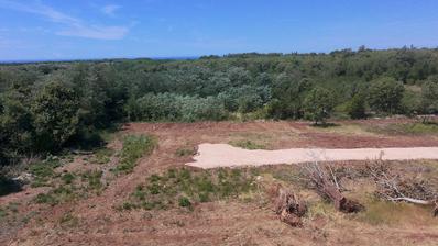 Istra, Brtonigla, Građevinsko zemljište 605 m², idealno za luksuznu vilu s bazenom