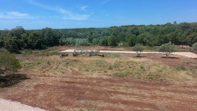 Istra, Brtonigla, Građevinsko zemljište 675 m², idealno za luksuznu vilu s bazenom