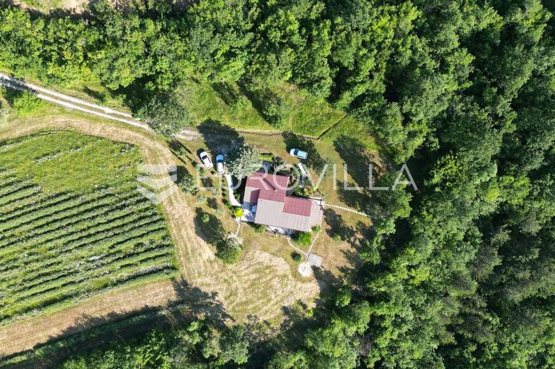 Istrien, Region Pazin - Idyllisches Haus zur Miete mit vollständiger Ruhe und Privatsphäre - 3