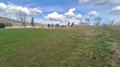 Bosiljevo, zemědělská půda 2200 m², předáno k převodu