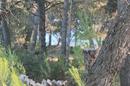 Vir, Pedinka, building plot of 664 m². - 6
