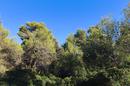 Vir, Pedinka, building plot of 664 m². - 3