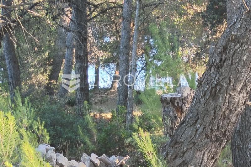 Vir, Pedinka, building plot of 664 m². - 6