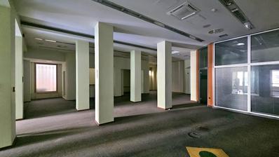 Osijek, Zgornji grad, Poslovni prostor