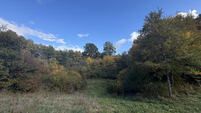 Istra, Heki, građevinsko zemljište 2000 m² u centru Istre, sniženo