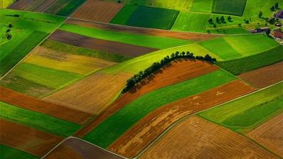 Exclusiva finca agrícola de 70 hectáreas en el corazón de Golden Valley