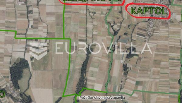 Golden Valley'nin kalbinde, 70 hektarlık seçkin bir tarım mülkü