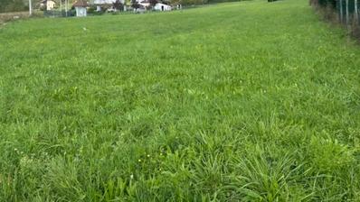 Jastrebarsko, Sveta Jana, zazidljivo zemljišče 2806 m², možnost gradnje več objektov