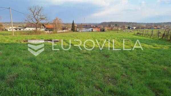 Драганич, участок 5330 м² с коммуникациями в тихом месте
