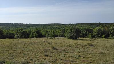 Istra, Poreč - poljoprivredno zemljište 62710 m2