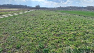 Karlovac, Brodani, zazidljivo zemljišče, 1433 m², 150 m od reke Kolpe