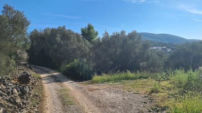 Otok Korčula, Vela Luka, građevinsko zemljište 