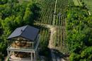 Draz, Draz - Un domaine viticole exclusif au cœur de la Baranja - 20