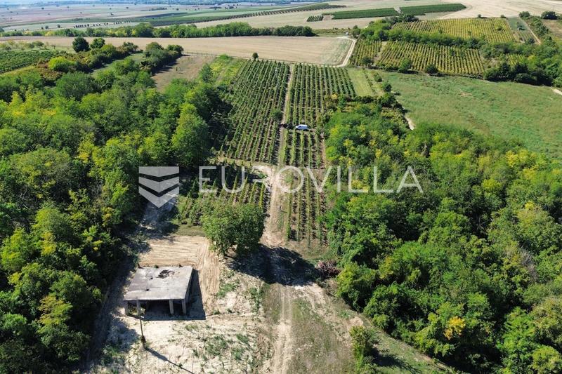 Draz, Draz - Un domaine viticole exclusif au cœur de la Baranja - 21
