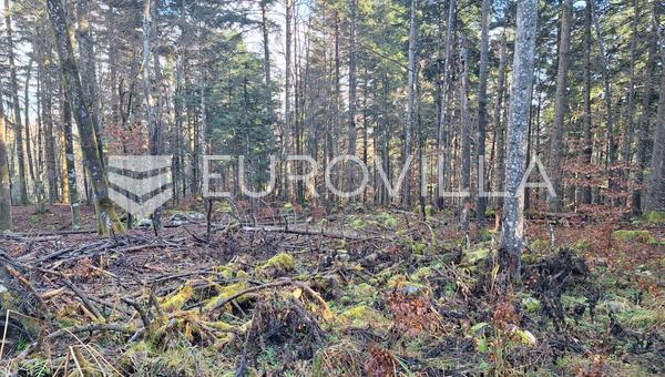 Bosiljevo, landbrugsjord 12800 m² ved motorvejen