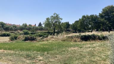 Istra, Puntera, urbanized land 837 m² on top location in the centre of village