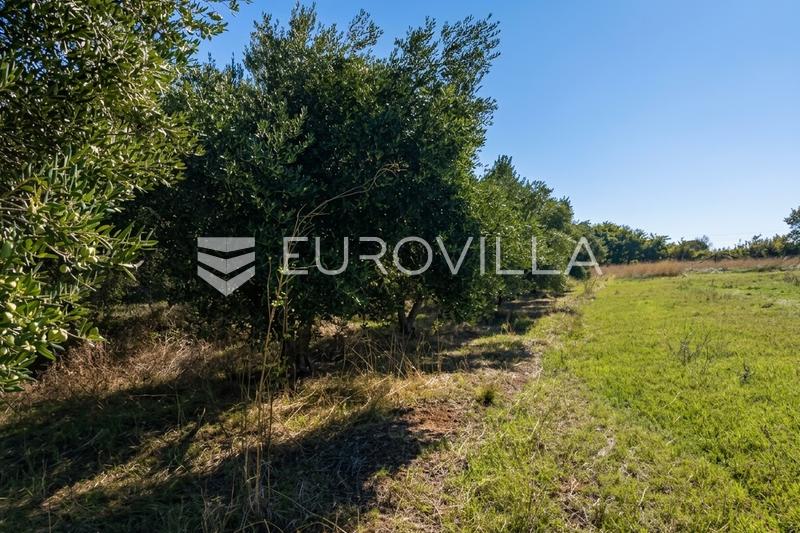 Skabrnja, Exklusiv Olivlund 2724 m² - En Ideal Investering - 2