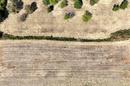 Ístria, Visnjan - Terreno para construção de 960 m² com belas vistas para o mar - 4