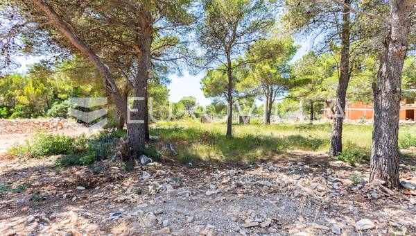 Brač, Milna građevinsko zemljište s pogledom na more
