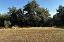 Istria, Grožnjan Area - Attractive Building Plot for a Villa Surrounded by Nature - 1