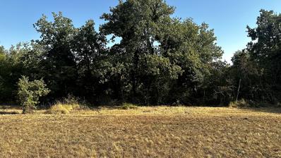 İstriya, Grožnjan Bölgesi - Doğa ile Çevrili Bir Villa İçin Cazip Arsa