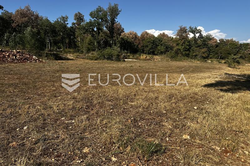 Istria, Grožnjan Area - Attractive Building Plot for a Villa Surrounded by Nature - 4