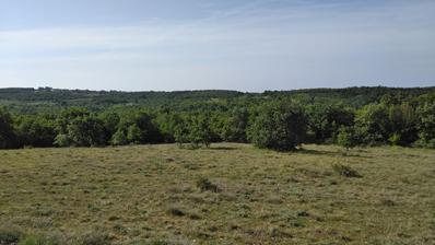 Istra, Višnjan, poljoprivredno zemljište s pogledom na more 38.360 m², prilika