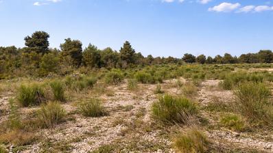 Pirovac, bouwgrond, 3155 m²