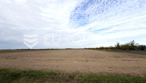Đakovo, byggegrund 981 m²