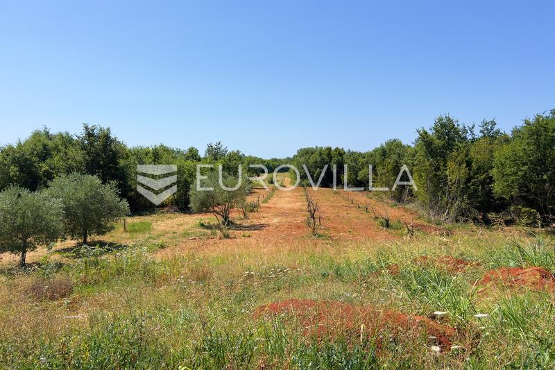 Istria, vicinanze di Parenzo, villa di lusso in pietra con vista panoramica sul mare - 20